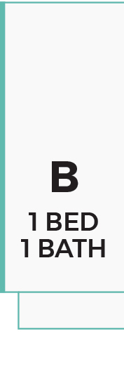 Premiere 4F unit B 1 bed 1 bath